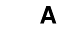 assault