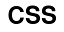 Combat Services Support